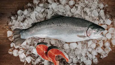 Türk somonu ihracatında rekor