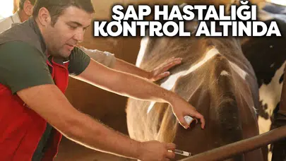 Tarım ve Orman Bakanlığı açıkladı