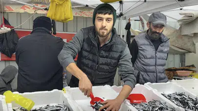 Zonguldak’ta hamsi 150 liraya çıktı