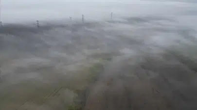 Tekirdağ'da yoğun sis: Göz gözü görmüyor!