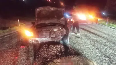 Bolu’da otomobil domuza çarptı: Araç hurda, domuz telef oldu!