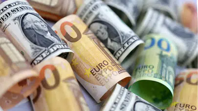 25 Kasım Salı dolar ve euro kaç lira oldu?