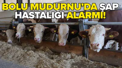 18 köy ve 4 mahalle karantinaya alındı