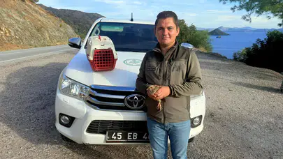 Muğla'da yasa dışı kınalı keklik satışı yapan kişiye 28 bin TL ceza!