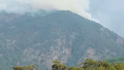 Hatay'da orman yangını! Ekipler müdahale ediyor