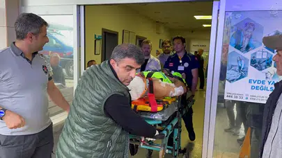 Kastamonu’da dehşet anları! Mantar toplarken ayı saldırdı