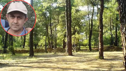 Üzerine düşen ağacın altında can verdi