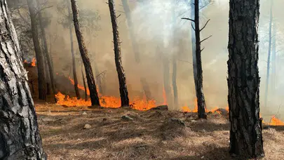Muğla Seydikemer’de orman yangını!