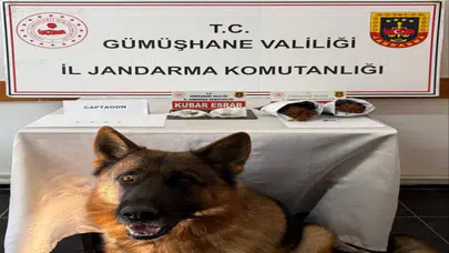 Gümüşhane’de jandarmadan uyuşturucu operasyonu