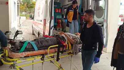 Adıyaman Besni'de otomobil şarampole devrildi: 5 yaralı
