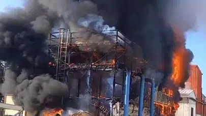 İzmir'de salça fabrikasında yangın çıktı!