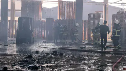 Bursa'da palet fabrikasında yangın!