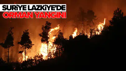 Yangına müdahale devam ediyor!