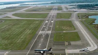 Havalimanında ayı krizi: Uçuşlar durduruldu