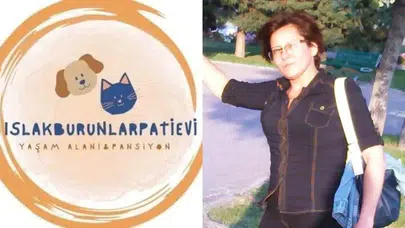 Şule Çörekçi kimdir?