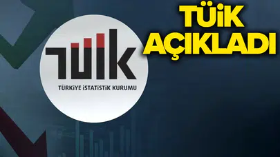 Ücretli çalışan sayısı yıllık yüzde 1,1 arttı!