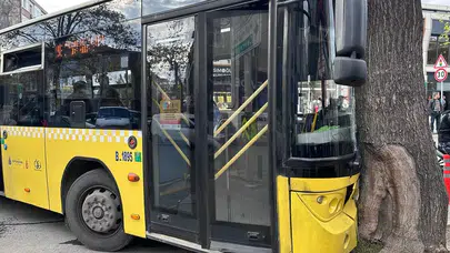 Bağcılar'da İETT otobüsü ağaca çarptı