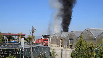 Manisa'da sera yangını!