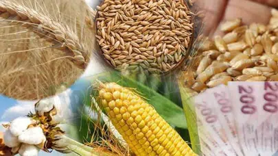 Hububat piyasasında son durum ne? Serbest piyasada buğday, arpa ve mısır fiyatları nedir?
