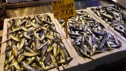 Doğu Karadeniz'de Fırtına Etkisi: Hamsi Yerini İstavrite Bırakıyor mu?