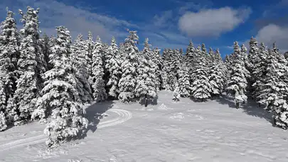 Sinop'ta kar bir metreye ulaştı: Çok sayıda köy yolu ulaşıma kapandı!