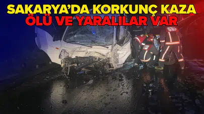 Panelvan ile kamyonet çarpıştı!
