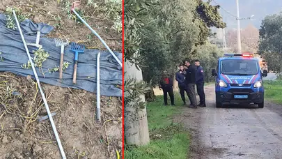 Bursa'da hırsızlık olayı: 500 kilo zeytin çaldılar!
