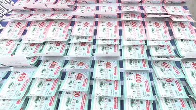 Milli Piyango yılbaşı çekilişinde 80 milyon TL kazandıran rakamlar hangileri olacak?