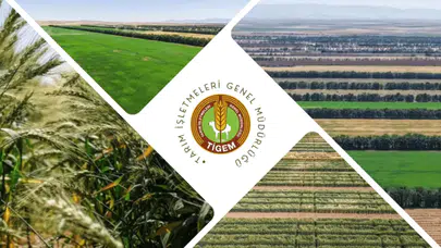 TİGEM'in 254 personel alımı için başvuru tarihleri ve şartları neler?