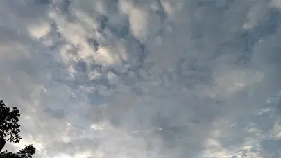 3 Aralık hava durumu: Bugün hava nasıl olacak?