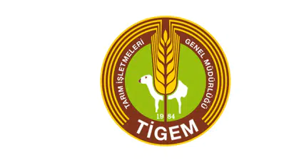 tigemin 254 sürekli işçi alımı başvuruları ne zaman başladı ve hangi illerde yapılacak?