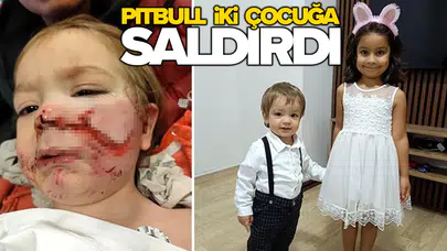 Pitbullun sahibi tutuklandı