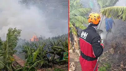 Antalya'da korku dolu anlar: Muz bahçesinde yangın çıktı