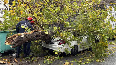 Beyoğlu'nda park halindeki aracın üstüne ağaç devrildi