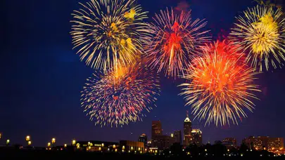 Yılbaşı havai fişekleri hayvanlarda strese neden oluyor!