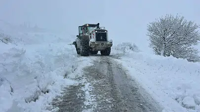 Yoğun kar ve tipi etkisini artırdı: 1117 yol ulaşıma kapandı