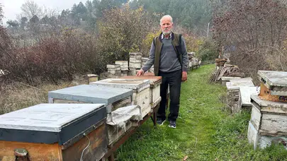 Bursa'da zirai ilaç yüzünden milyonlarca arı öldü!