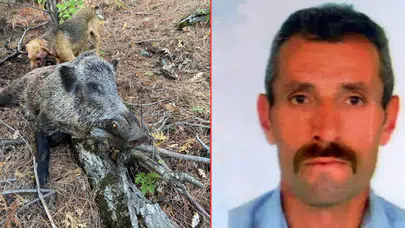 Erzincan Kemah’ta domuz saldırısı: Avcı hayatını kaybetti