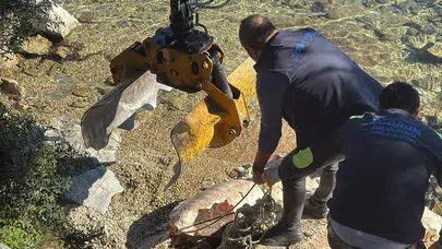 Bodrum sahiline vuran caretta caretta vinçle yardımıyla kaldırıldı