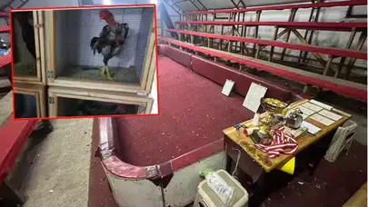 Sakarya'da horoz dövüşü operasyonu: 34 kişiye ceza