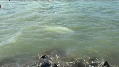 Karadeniz’de şiddetli fırtına: Samsun’da 3 tekne battı