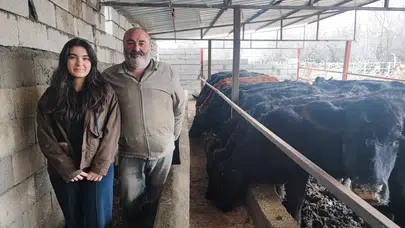 Atama bekleyen genç sağlıkçı hayvancılığa başladı