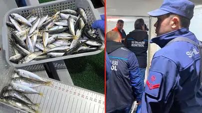 Yasal sınırın altındaki balıklara el konuldu!