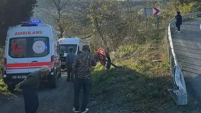 Ordu'da otomobil fındık bahçesine uçtu: Anne ve kızı yaralandı