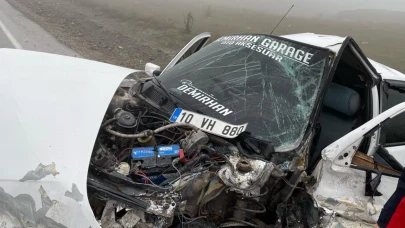 Balıkesir'de otomobil şarampole uçtu!