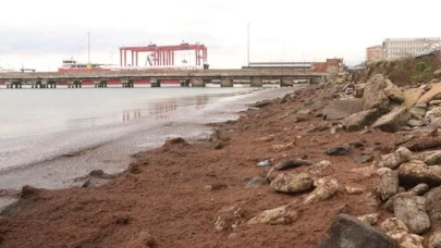 Tekirdağ sahillerini kırmızı yosunlar kapladı!