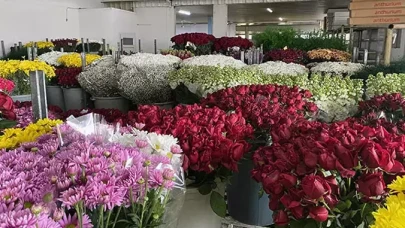 Sevgililer Günü'nde çiçekçiler beklediklerini bulamadı