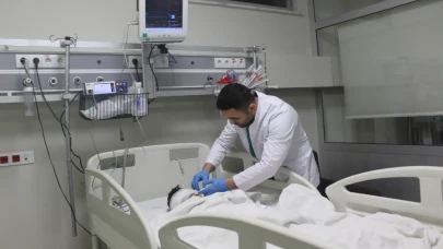 Köpek saldırısına uğrayan 4,5 yaşındaki çocuk ağır yaralandı