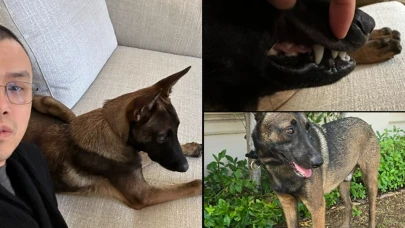 CZ köpeğinin ismini açıkladı! Broccoli Coin mi çıkacak?