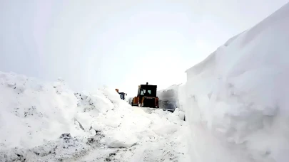 Siirt'te kar yağışı hayatı olumsuz etkiledi: 92 köy yolu ulaşıma kapandı
